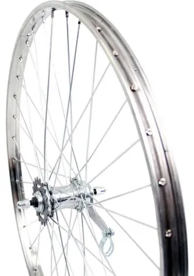 Immagine prodotto di Roland Hinterrad 28 x 1 3 8 RN HL32 Cerchio Alu Zinc SPK