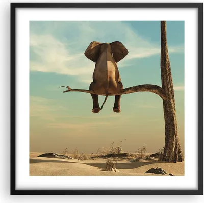 Produktbild von Gerahmtes Poster - Schwarzer Rahmen - Elefant sitzend Ast - 50x50 cm - Wand Bild - Wanddeko - Wandbilder - Kunstposter - Wandposter - Bilderrahmen - Bilder - Kunstdruck - P2BAC50x50-4557