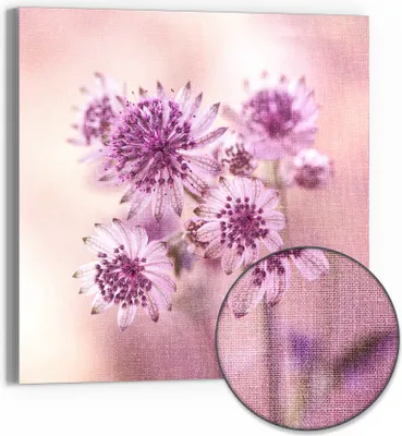 Produktbild von DEQORI Hybrid Leinwand Bild 30x30 cm 'Lila Sterndolden' Wandbild Glas flach modern