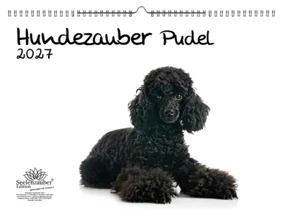 Produktbild von Pudelzauber DIN A3 Kalender für 2027 Welpen und Hunde - Seelenzauber