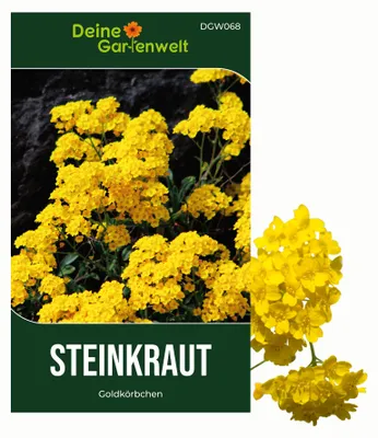 Produktbild von Steinkraut Goldkörbchen Samen - Alyssum saxatile - Bergsteinkrautsamen - Blumensamen - Saatgut für 200 Pflanzen