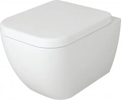 Produktbild von BERNSTEIN Spülrandloses Wand-Hänge-WC 101R – Elegante Sanitärtechnik mit Soft-Close-Deckel
