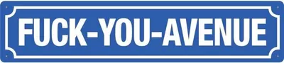Produktbild von Fuck-you-Avenue, Straßenschild aus Blech 46x10 cm, STR 160
