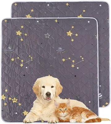 Productafbeelding van Set van 2 puppymatten, wasbaar, 50 x 70 cm, 4-laags waterdichte pipi-matten voor honden, herbruikbare hondentoilet en absorberende trainingspads voor puppy's, senioren en incontinentie, antislip