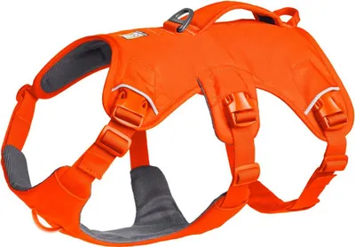 Produktbild von Ruffwear Web Master™ Hundegeschirr