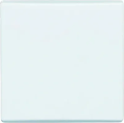 Immagine prodotto di Busch-Jaeger ALLW. WI 2106-34 (2106-34)