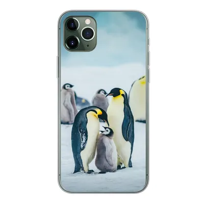 Produktbild von MuchoWow® Handyhülle Schutzhülle Hülle für iPhone 11 Pro Max Kaiserpinguin-Küken wird gefüttert Silikon Softcase Handy Hülle - Schutz