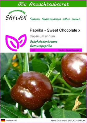 Produktbild von SAFLAX - Paprika - Sweet Chocolate x - 10 Samen - Mit keimfreiem Anzuchtsubstrat - Capsicum annum