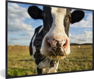 Produktbild von MuchoWow® MuchoWow® Gerahmtes Poster Kuh - Licht - Gras 30x20 cm - Poster mit zchwarzem Bilderrahmen - Kunstdruck - Bild-Poster