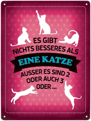 Produktbild von Es gibt nichts besseres als eine Katze Metallschild XXL