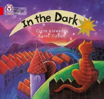 Produktbild von In the Dark