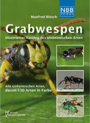 Produktbild von Grabwespen