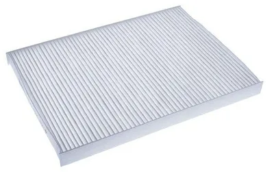 Image de EBG Filtre d'habitacle anti-pollen Renault 272774658R 272776480R 27891JY15A
