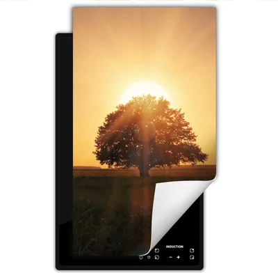 Produktbild von DarHaus Herdabdeckplatte 1 teilig 30x52 cm Anti Rutsch Matte Aufrollbar, Baum - Sonne