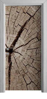 Produktbild von Tür Selbstklebende 90x210 cm Türfolie Türtapete Klebefolie - Holz Stamm