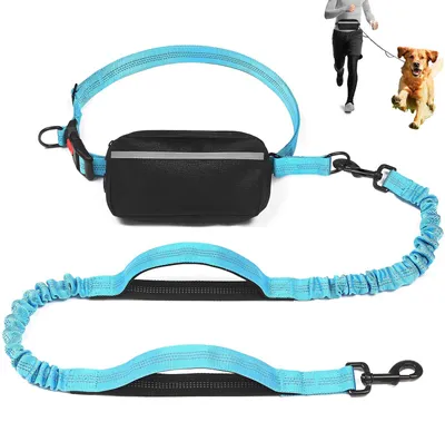 Joggingleine für Hunde, 130–173 cm, mit Bauchgurt, blau
