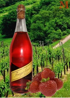 Produktbild von Contri Fragolino Rosato Corte Viola Perlwein 750 ml.