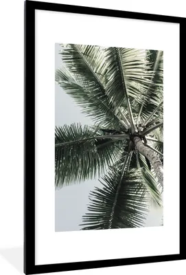 Produktbild von MuchoWow® Gerahmtes Poster Palme - Tropisch - Sommer 60x90 cm - Poster mit Schwarzem Bilderrahmen Wandposter Rahmen Foto Bilder - Dekoration - Wandposter Wohnzimmer - Hochwertig