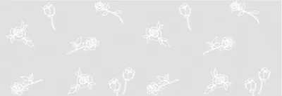Produktbild von Transparentpapier 115g/qm A4 VE=25 Blatt White Line Rosen