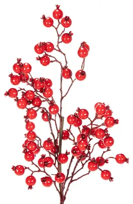Produktbild von Künstlicher Deko-Zweig mit Hagebuttenbeeren für kreative Arrangements