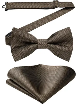 Immagine prodotto di Set da uomo composto da cravatta a pois marrone, fazzoletto da taschino abbinato e confezione regalo