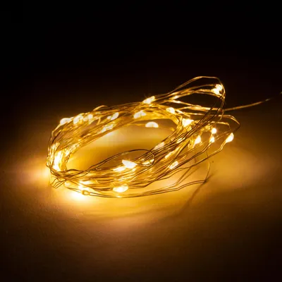 Image de Guirlande lumineuse - 300 micro-LED blanc chaud -