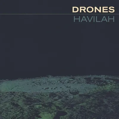 Obrázok produktu pre The Drones: Havilah