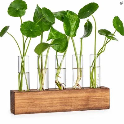 Produktbild von Hydroponik Vase für Pflanzen - Wasserglas zur Vermehrung und Bewurzelung mit Ständer