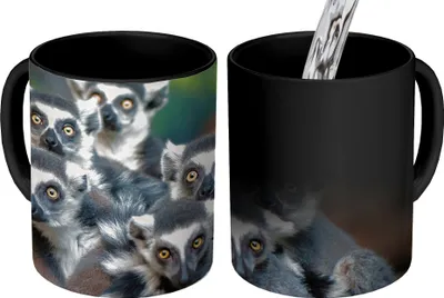 Obrázek produktu pro MuchoWow® Kouzelný pohár Opice - Zvířata - Lemur kroužkovaný 350 ml Barva měnící se pohár Dárkový nápad - foto hrnek