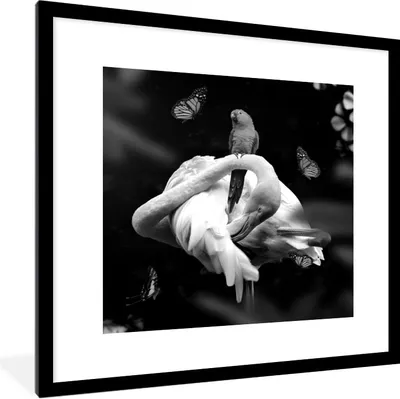 Produktbild von MuchoWow® Gerahmtes Poster Flamingo - Tiere - Natur - Schwarz - Weiß 40x40 cm - Poster mit Schwarzem Bilderrahmen Wandposter Rahmen Foto Bilder - Poster - Plakat im Rahmen