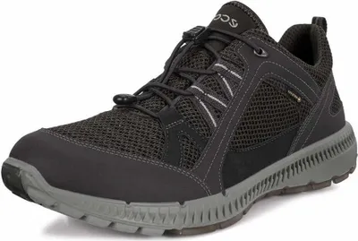 Image de Ecco 843064 51052 Baskets pour hommes Terracruise LL M GTX Tex Noir, Noir, T. 43