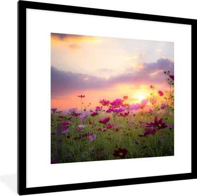 Produktbild von MuchoWow® Gerahmtes Poster Sonnenuntergang - Blumen - Rosa - Natur - Grün 40x40 cm - Poster mit Schwarzem Bilderrahmen Wandposter Rahmen Foto Bilder - Poster - Plakat im Rahmen