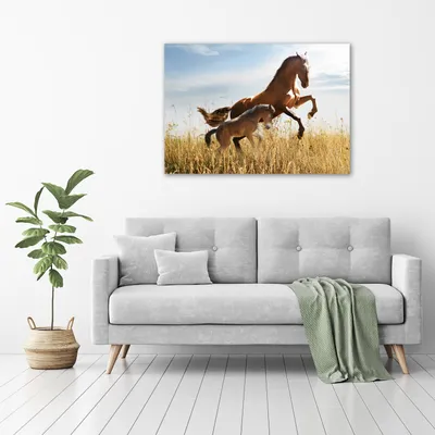 Produktbild von Tulup® Glas-Bild - 100 x 70 - Wandbild aus Glas - Wandkunst - Wandbild hinter gehärtetem Sicherheitsglas - Tiere - Stute mit Fohlen - Braun
