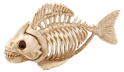 Tierskelett, Halloween-Dekoration, 23 cm, beige
