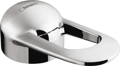 A close-up studio shot of a chrome faucet handle.