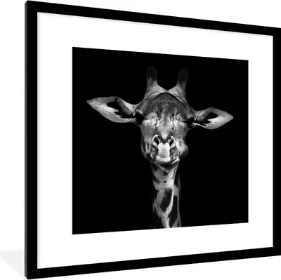 Produktbild von MuchoWow® Gerahmtes Poster Giraffe - Porträt - Tiere - Schwarz - Weiß 40x40 cm - Poster mit Schwarzem Bilderrahmen Wandposter Rahmen Foto Bilder - Poster - Plakat im Rahmen
