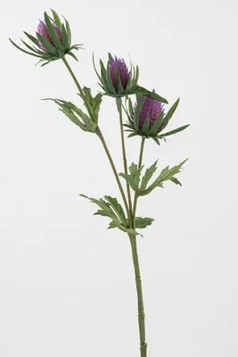 Produktbild von Fink DISTEL, Kunstblume, Kunstfasern, lila, H. 44 cm 185095