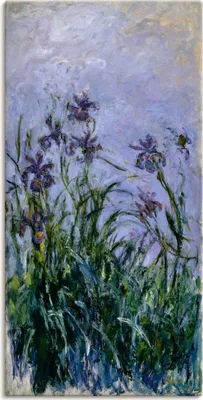 Produktbild von Claude Monet: Iris. 1914-17, Produkt:Leinwand, Größe (HXB):60x30 cm / Leinwand