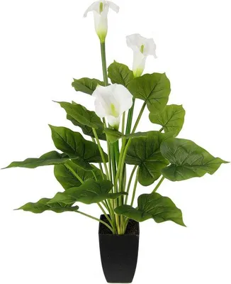 Produktbild von Famanu Kunstpflanze Calla mit weißen Blüten - Kunststofftopf
