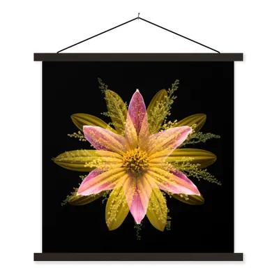 Produktbild von MuchoWow® Textilposter Eine gelbe Blume auf schwarzem Hintergrund 120x120 cm mit schwarzem Rahmen - Aufhängungsset