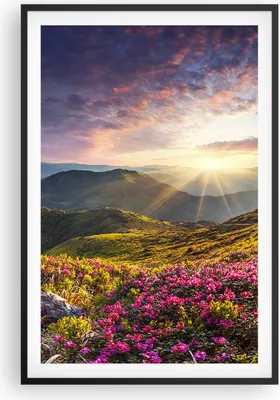 Produktbild von Gerahmtes Poster - Schwarzer Rahmen - Gebirge Wiese Landschaft Wald - 61x91,5 cm - Wand Bild - Wanddeko - Wandbilder - Wandposter - Bilderrahmen - Bilder - Kunstdruck - Wandbild - P2BPA61x91-3152