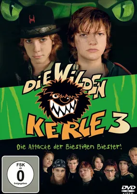 Produktbild von Die wilden Kerle 3