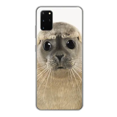 Produktbild von MuchoWow® Handyhülle Schutzhülle Hülle für Samsung Galaxy S20 Plus Jungen - Robbe - Kinder - Mädchen - Tiere Silikon Softcase Handy Hülle - Hartschale