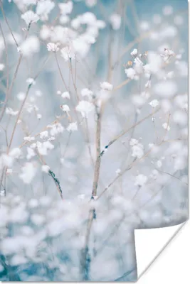 Produktbild von MuchoWow® Poster Äste - Schnee - Winter - Natur - Botanisch 20x30 cm - Papierdruck