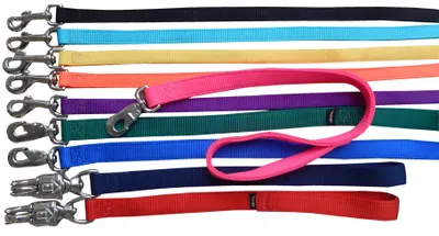 Produktbild von Hundeleine Prism Classic mit Handschlaufe aus starkem Nylon 1,9 cm breit, 60 cm lang in Rot
