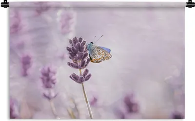 Produktbild von MuchoWow® Wandteppich Wandbehang Lavendel - Schmetterling - Nahaufnahme - Lila 60x40 cm Tapisserie Dekoration Wandtuch - Wanddekorationen