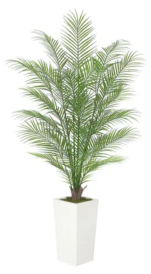 Obrázok produktu pre Umelo vyzerajúca palma Areca – izbová rastlina – 150 cm – realistický vzhľad – materiál PE – nenáročná údržba – biely kvetináč
