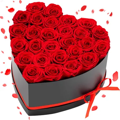 Image de VEVOR 27 pcs. Roses éternelles en forme de cœur boîte, bouquet de fleurs préservé, boîte cadeau de fleurs pour leur femme, mères, partenaires amoureux, pour le mariage, la fête des mères, la Saint-Valentin, Noël, rouge
