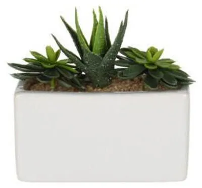 Produktbild von Kunstpflanzen im keramischen Topf SUKKULENTE, 15 x 8 x 14 cm
