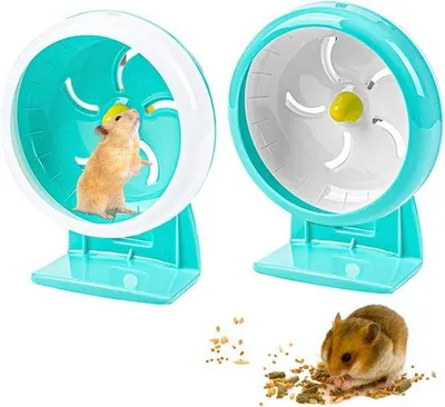 Image de Petite roue de 18 cm pour hamsters et petits animaux